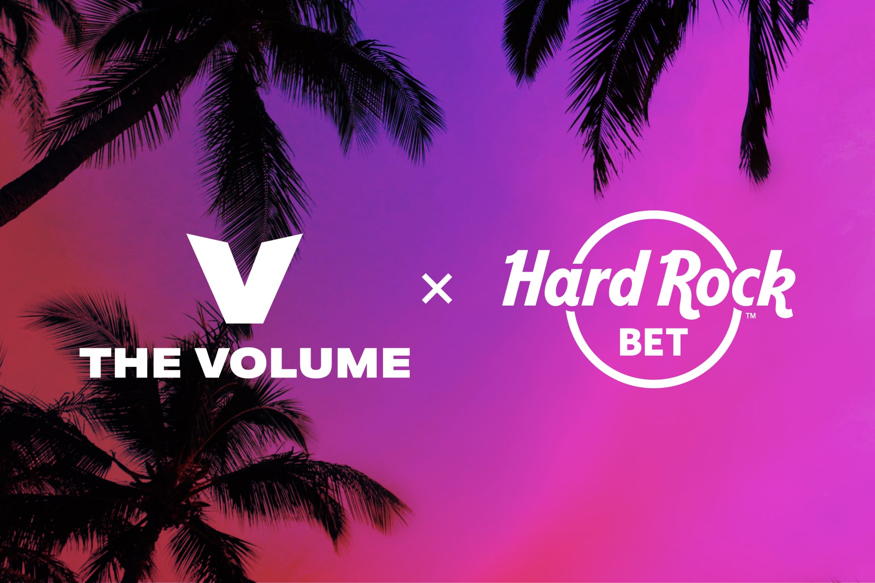 hard rock bet the volume